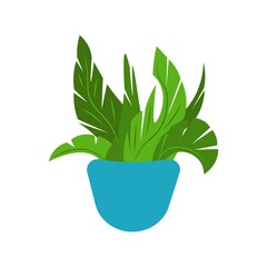 Vector illustration flower, plant growing in a pot. Potted plant icon. Indoor plant in a pot isolated on white background. Seedling icon