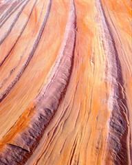 Colourful Sandstone rock formation near Wave North Coyote Buttes Arizona in Paria Canyon Vermilion Cliffs Wilderness of Colorado Plateau South West America