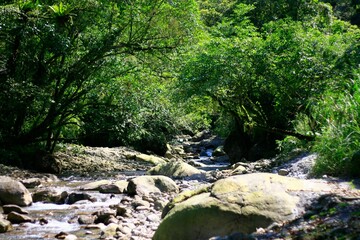 Beautiful view of the hill in the forest and the water