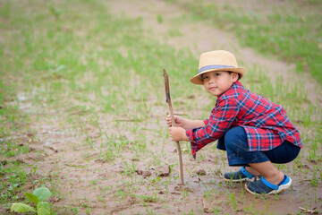 An Asian boy is planting a tree or sapling in a vegetable garden: eco-child concept