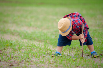 An Asian boy is planting a tree or sapling in a vegetable garden: eco-child concept