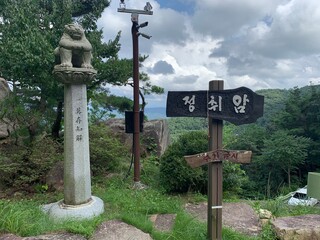 signpost in the forest
