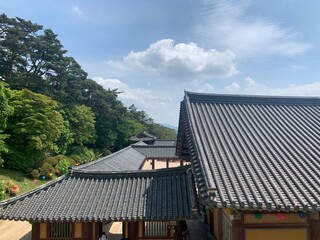 panels on roof