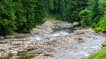 Landscape in the mountains. 
Mountain river. Magnificent landscape of the Ukrainian Carpathians. Pylypets