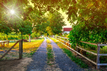 Obraz premium A play of colors in a beautiful park