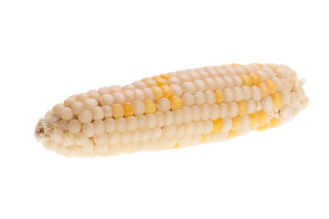 Yellow corn isolated on a white background