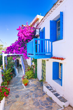Fototapeta The old village of Chora in Alonnisos island, Greece. 