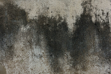 Grunge wall backgrorund texture