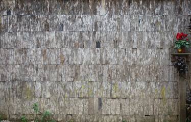Old wood wall texture background with grunge and a pot of red flowers