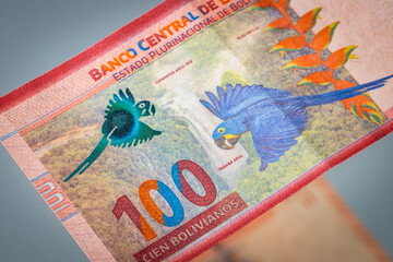 Bolivia money, Paper banknotes worth 100 Bolivianos. Both sides of the banknote