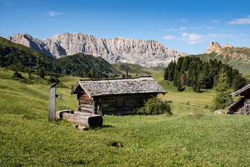 Fototapeta na wymiar Alpine panorama with pastures and huts on the Alpe di Siusi in South Tyrol