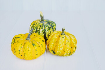Colorful mini pumpkins on white background. Fall background.