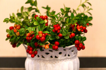 Lingonberry sprigs with red berries in a vase.