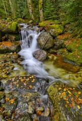 waterfall in the forest