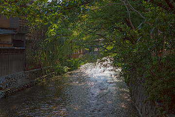 京都 夏の祇園白川