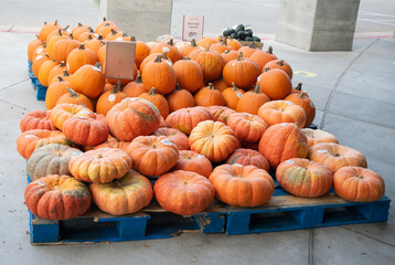 Pumpkins for sale in a local market