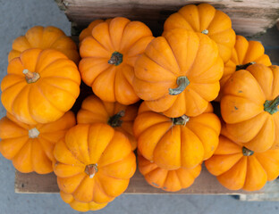 Pumpkins for sale in a local market