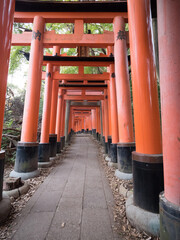 Santuario Fushimi Inari, en Kioto, Japón