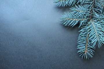 new year's Christmas background pine spruce branches and gift Christmas bow on black gray dark background