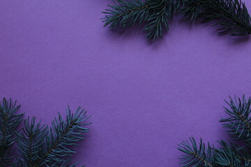 new year Christmas winter background with pine branches spruce tree on purple background with copy...