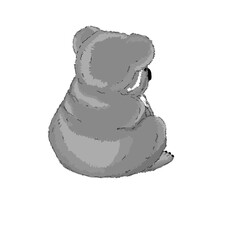 Koala bear