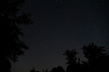 summer night starry sky