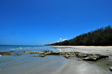 Thailand sand beach and pile tree mix with rock in foreground