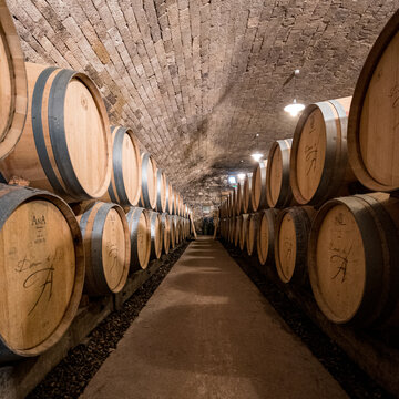 wine barrels in a cellar