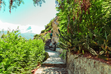 stone staircase plants flowers