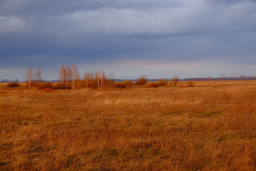 Cloudy dramatic sky over the autumn steppe. Bright dry field herbs.
