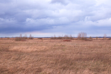 Cloudy dramatic sky over the autumn steppe. Bright dry field herbs.