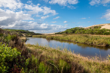 landscape of the coast in the south west of France