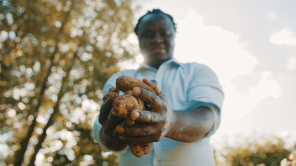 African farmer holding fresh potatoes in his hands. Low angle selective focus. High quality photo