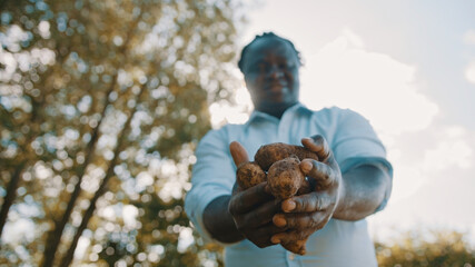 African farmer holding raw potatoes in his hands. Low angle selective focus. High quality photo