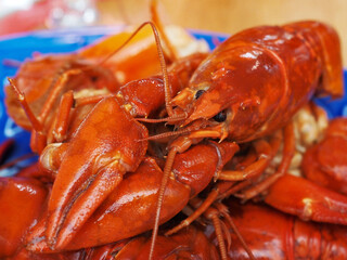 Close up of a boiled crayfish