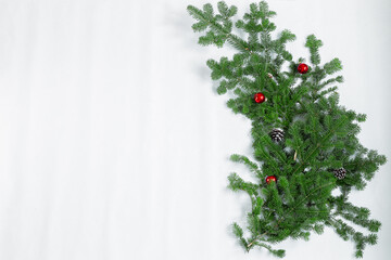 Branches of a green Christmas tree on a white background.