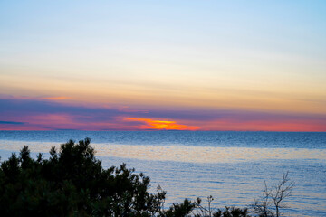 Obraz premium Vibrant sundown over ocean with pine trees in foreground