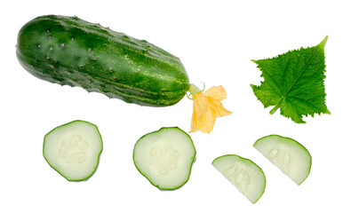 Slices of cucumber isolated on white background