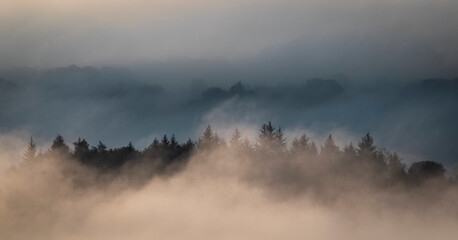 Fog, Lochwinnoch, Renfrewshire, Scotland,UK.