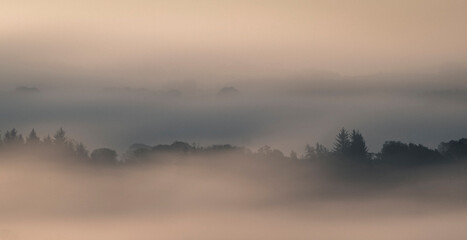 Fototapeta na wymiar Fog , Lochwinnoch, Renfrewshire, Scotland, UK.