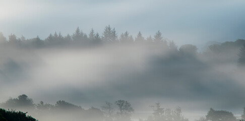 Fog,  Lochwinnoch , Renfrewshire, Scotland , UK .