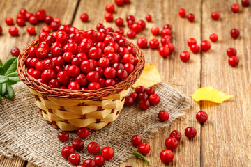 Basket with wild autumn forest berry - lingonberry
