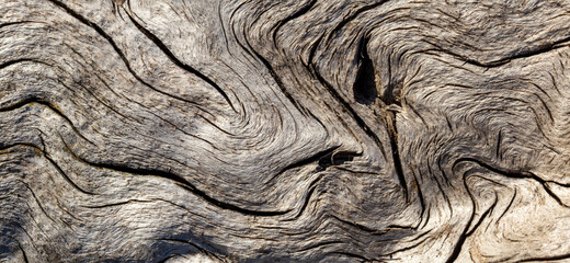 texture of old brown wood. background of wooden surface