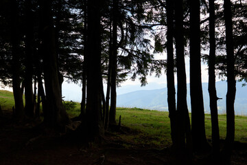 Mountains hills landscape during a sunny day with blue sky clouds. Dark autumn trees. Forest in summer. Hiking in wild mountains. Adventure Local Travel Concept