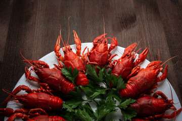 Crayfish on a plate with herbs