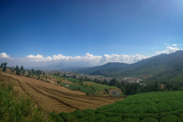 vineyard in the mountains