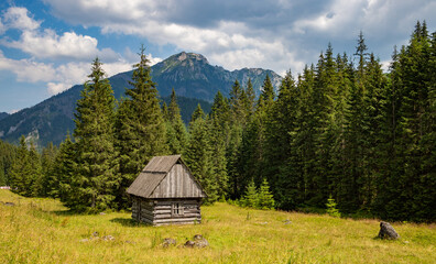 Chochołowska Valley