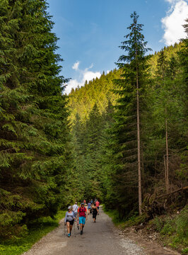 Tatra Mountains Hiking