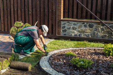 Landscape Gardener Laying Turf For New Lawn
