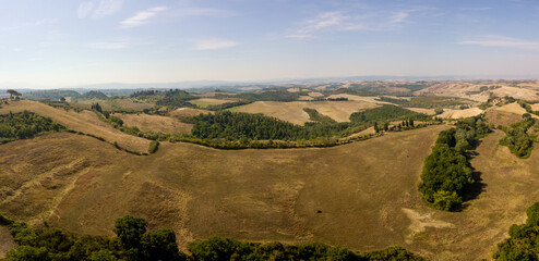 Fototapeta na wymiar Tuscany panoramic aerial/drone view of vineyards and olive trees